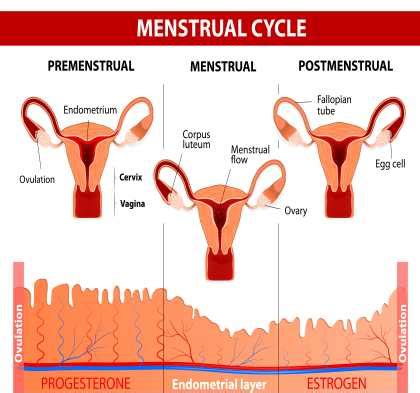 How To Get Rid Of Period Cramps Fast – drdougcrosby.com