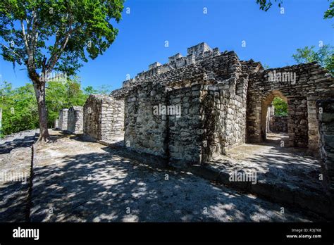 Mayan city of Calakmul, Calakmul Biosphere Reserve, Campeche, Mexico Stock Photo - Alamy