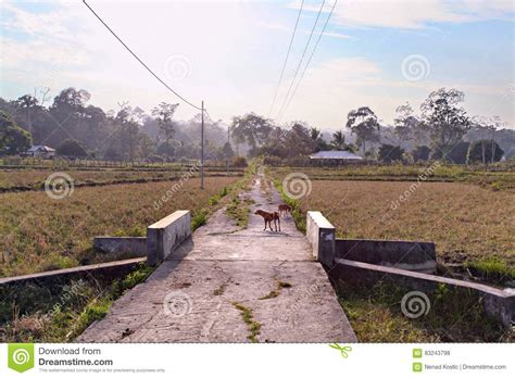 India Rural Houses and Lendscapes Stock Photo - Image of poverty ...