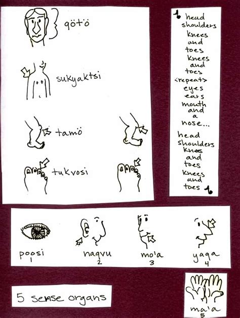 Hopi Language Booklet at Center of SW Studies