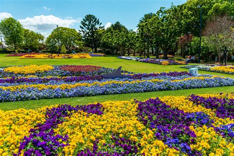 Guide to Australia's Flower Festivals | Dream with Luxury Escapes