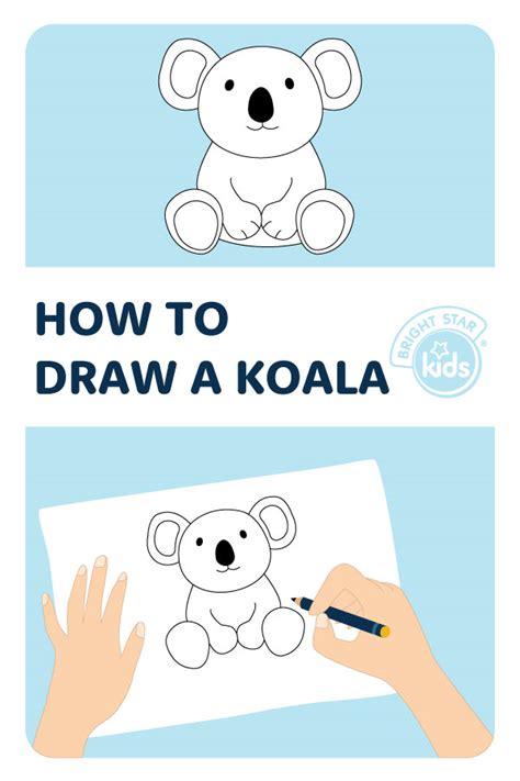 How To Draw A Koala: Easy Koala Drawing - Bright Star Kids