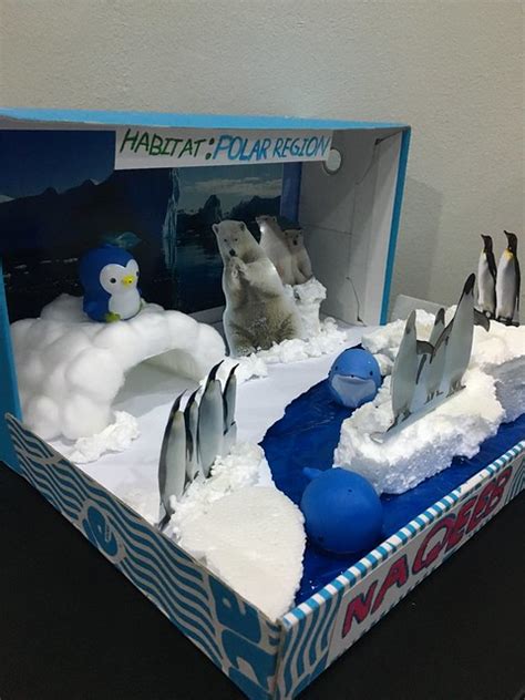 Polar Bear Habitat Diorama Project