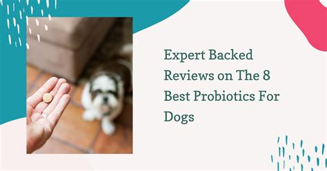 Expert Backed Reviews on The 8 Best Probiotics For Dogs - Groomers' Land