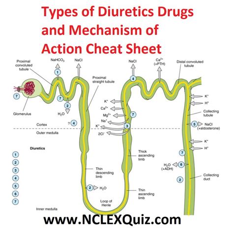 Pin on Medications