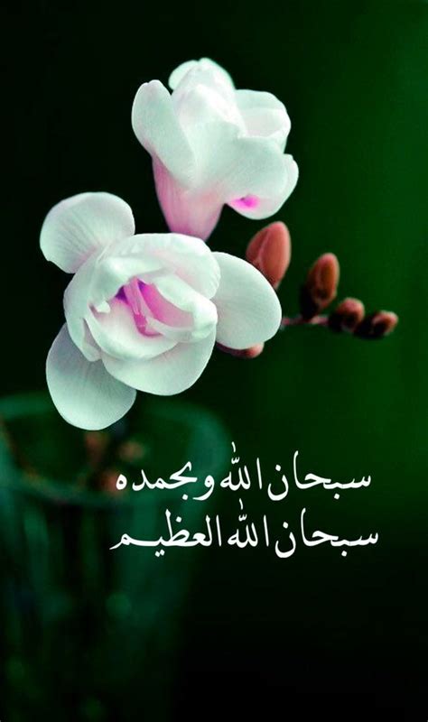 سبحان الله وبحمده سبحان الله العظيم Apple Logo Wallpaper Iphone, Iphone ...