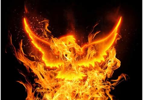 Phoenix Symbolism: 10 Spiritual Meanings of Phoenix