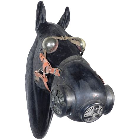 Rare WWII German Horse Gas Mask at 1stdibs