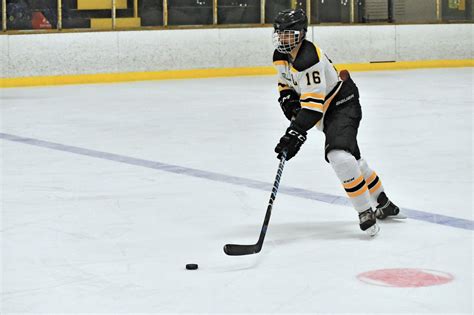 Four Canes hockey players get All-State honors | Free | apg-wi.com