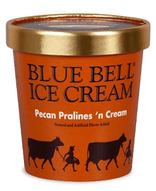 Blue Bell Pecan Pralines And Cream Ice Cream Outlet | head.hesge.ch