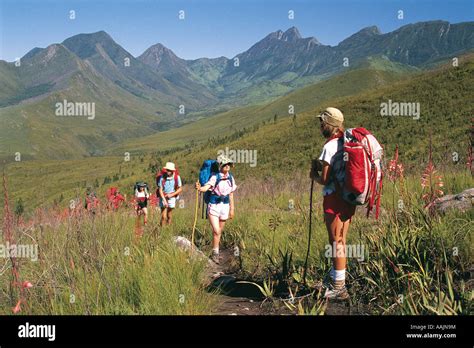 Walkers on the Tsitsikamma Hiking Trail on the Garden Route Western Cape South Africa Stock ...