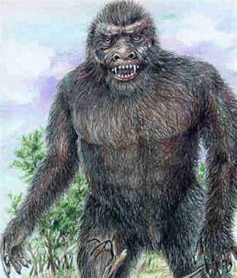 Yowie Physiology | Superpower Wiki | Fandom