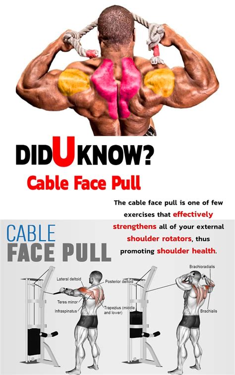 Face pulls workout area - molimgmt