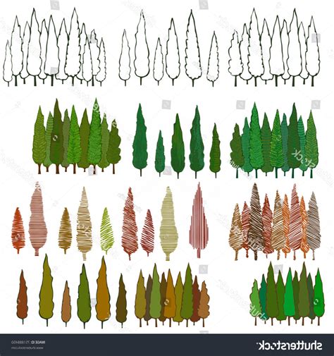 Cedar Tree Vector at Vectorified.com | Collection of Cedar Tree Vector ...