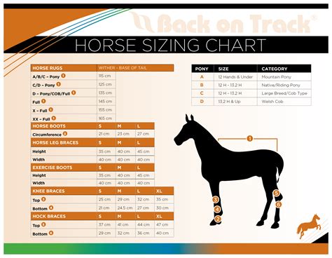 Horse Blanket Measurement Chart