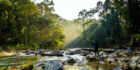 Shared Tour: Taman Negara National Park Day Tour | Pahang, Malaysia - KKday