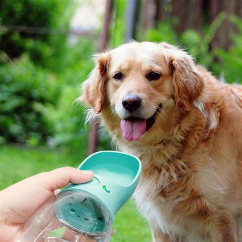 Dog Water Bottle Dog Drinker Pet Travel Drink Cup Water Bottle Outdoor | Walmart Canada