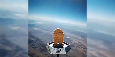 Among Us Chicken Nugget Sent Into Space