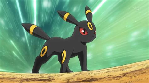 Pokemon Umbreon Evolution