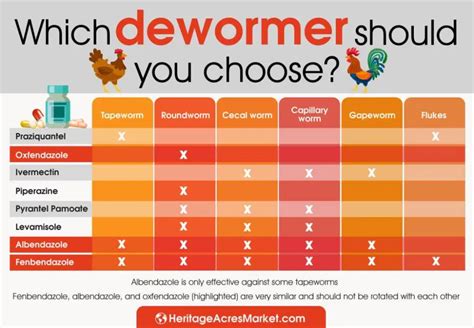 How To Deworm Chickens | Chickens, Homeopathic treatment, Poultry science