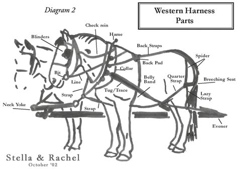 Draft Horse Harness Diagram - General Wiring Diagram