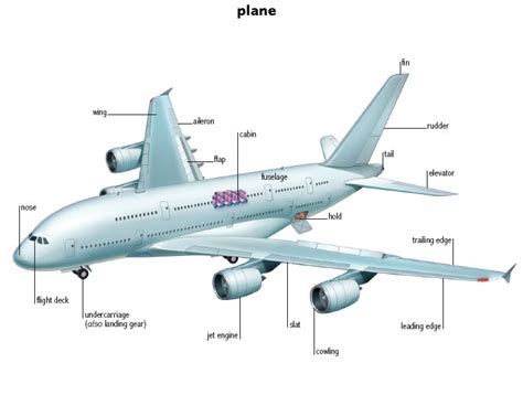 fin noun - Definition, pictures, pronunciation and usage notes | Oxford Advanced American ...