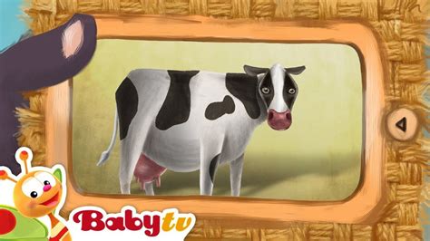 Cow | Animal Party | BabyTV | Animal party, Animal sounds, Cartoon kids