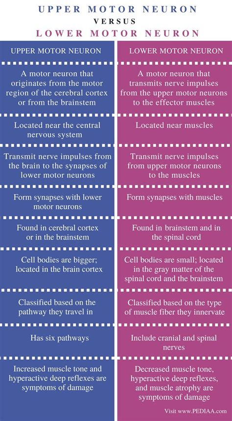 Difference Between Upper and Lower Motor Neuron - Comparison Summary | Speech therapy materials ...