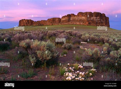 Fort rock state park oregon hi-res stock photography and images - Alamy