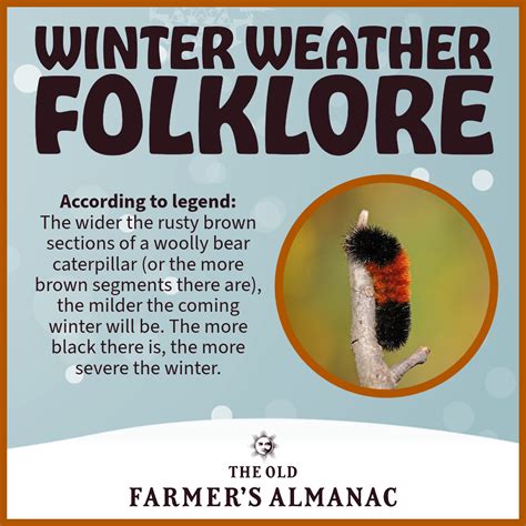 Woolly Bear Caterpillars: Winter Weather Predictors | Facts & Folklore | The Old Farmer's Almanac