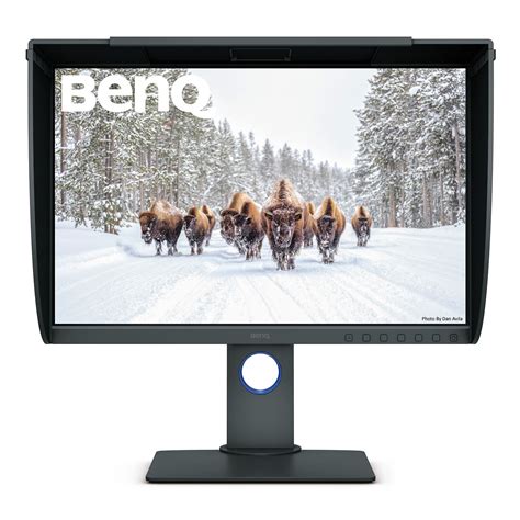 BenQ SW240 24" Monitor | Image Science