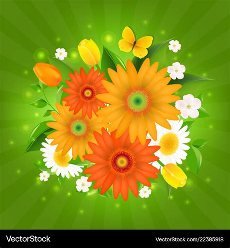 Spring flowers Royalty Free Vector Image - VectorStock