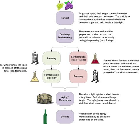 Clear Lake Wine Tasting: Infographic: How Wine is Made