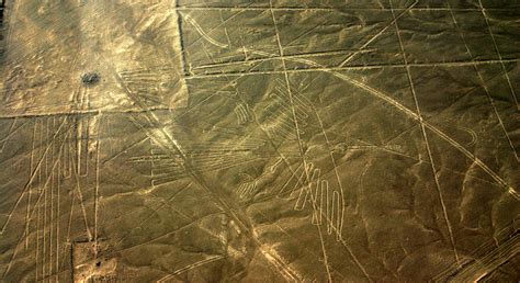 Nazca Lines: Scientists Identify Bird Species in Ancient Peruvian Geoglyphs