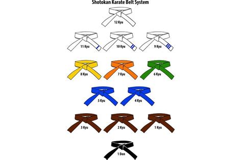 Shotokan Karate Belts, Body Goals, Martial Arts, System, Traditional, Color, Quick, Products, Colour