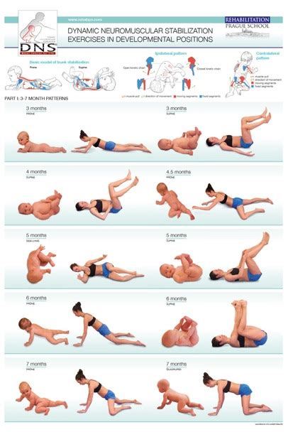 Dynamic Neuromuscular Stabilization Approach (DNS) Vernon, BC