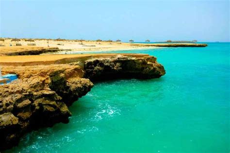 Djibouti Highlights | Africa, Djibouti, Wildlife safari