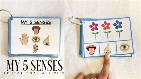 My 5 Senses | Learning Activity For Toddlers - YouTube