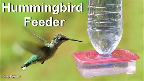 Easy Diy Hummingbird House - Classic And Safe Hummingbird Nectar Recipe ...