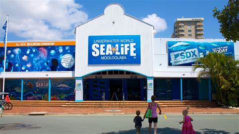 Underwater World Sea Life - Mooloolaba, Queensland Attraction | Expedia.com.au