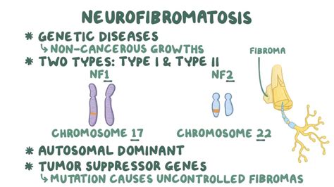 Neurofibromatosis Type 1 Gene