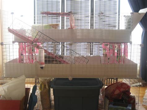 The new cage - Guinea Pig Cages