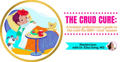 The Crud Cure: A holistic pediatrician's guide to the cold - flu - RSV ...