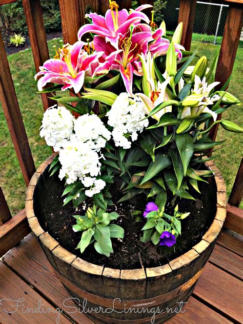 Wine Barrel Planter D-I-Y - Finding Silver Linings