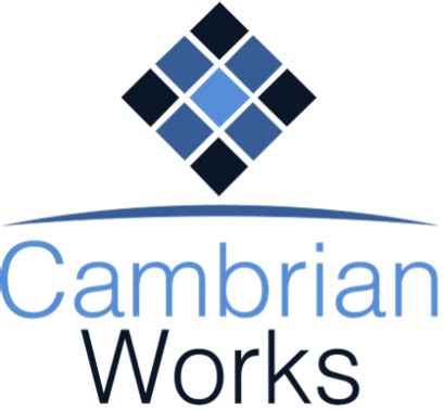 Cambrian Works Awarded SpaceWERX Orbital Prime Contract for Space Operator Robotic Terminal ...