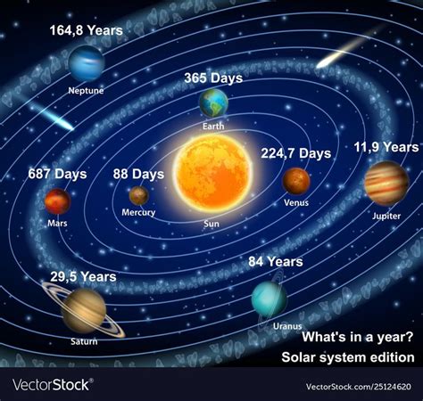 Eight solar system planets orbiting the sun diagram Vector educational ...