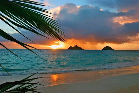 Ahhh. beaches. Hawaiian Beaches, Hawaiian Islands, Lanikai Beach, Ocean Girl, Palm Tree ...