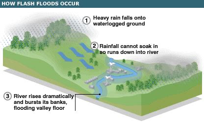 The process of floods - Tweed River Flooding