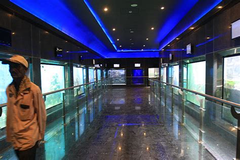 Mumbai gets its aquarium back, but don't expect a world-class one ...