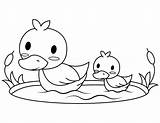 Printable Baby Duck Coloring Page sketch template